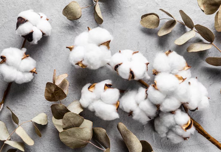 Cotton